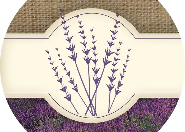 诺登蓝德豪斯酒店 3* 施马伦贝格