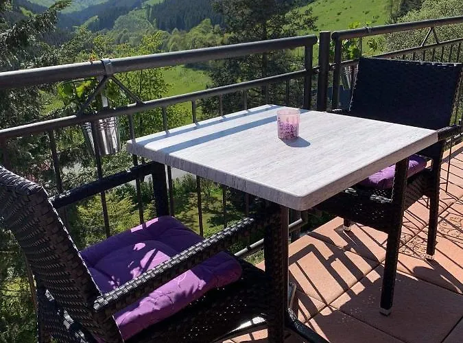 诺登蓝德豪斯酒店 3* 施马伦贝格