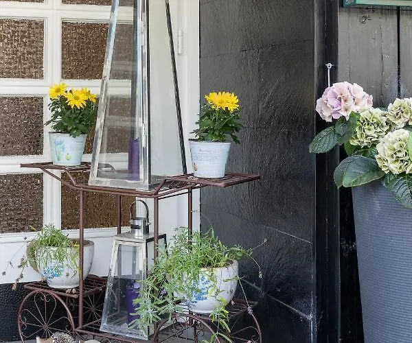 诺登蓝德豪斯酒店 酒店 3*