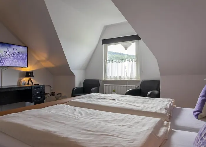 酒店 诺登蓝德豪斯酒店 3*