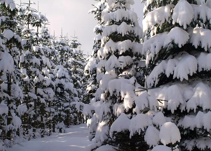 诺登蓝德豪斯酒店 酒店 施马伦贝格
